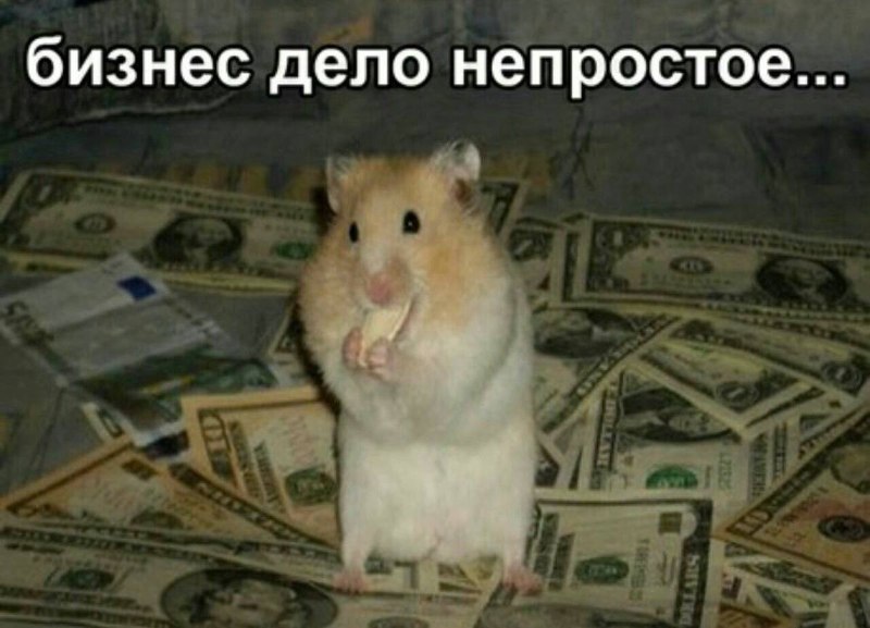Фото поста канала  ТелеДНО