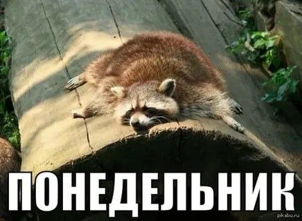 Фото поста канала  На самом деле в Запорожье