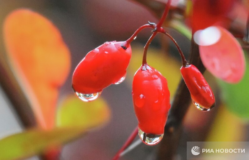 Фото поста канала  РИА Новости Крым