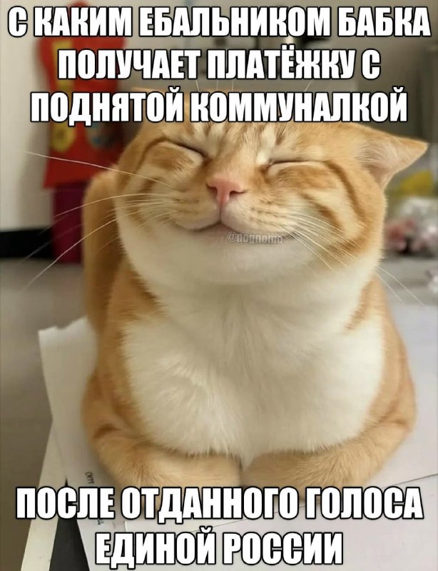 Фото поста канала  ПОЛУАВТОБИЯ