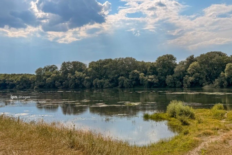 Фото поста канала  Котятишны ньюZ