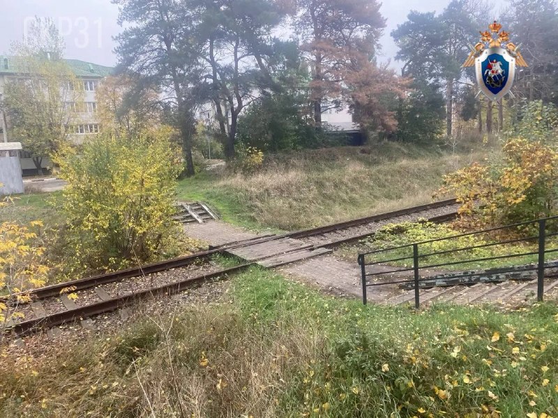 Фото поста канала  БЕЛГОРОДЕЦ