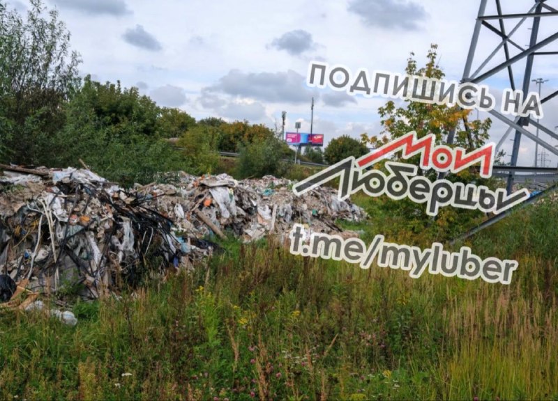 Фото поста канала Мои Люберцы ®️
