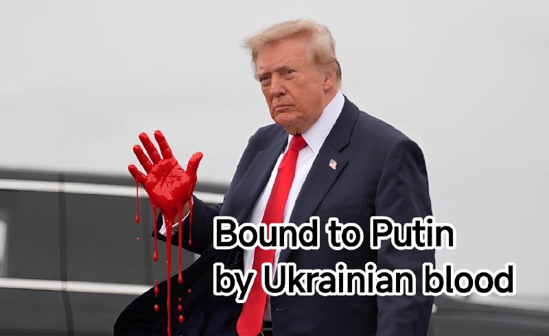Фото поста канала  Nevideo