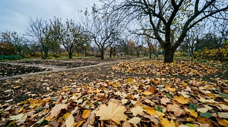 Фото поста канала  Наш Город | Тюмень