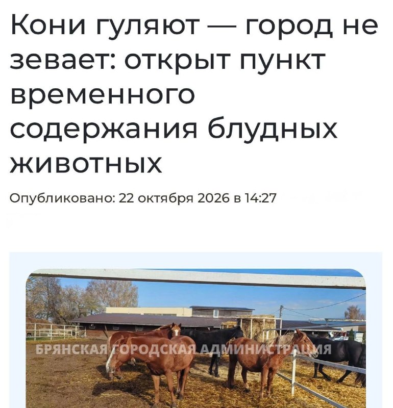 Фото поста канала  Россия сейчас