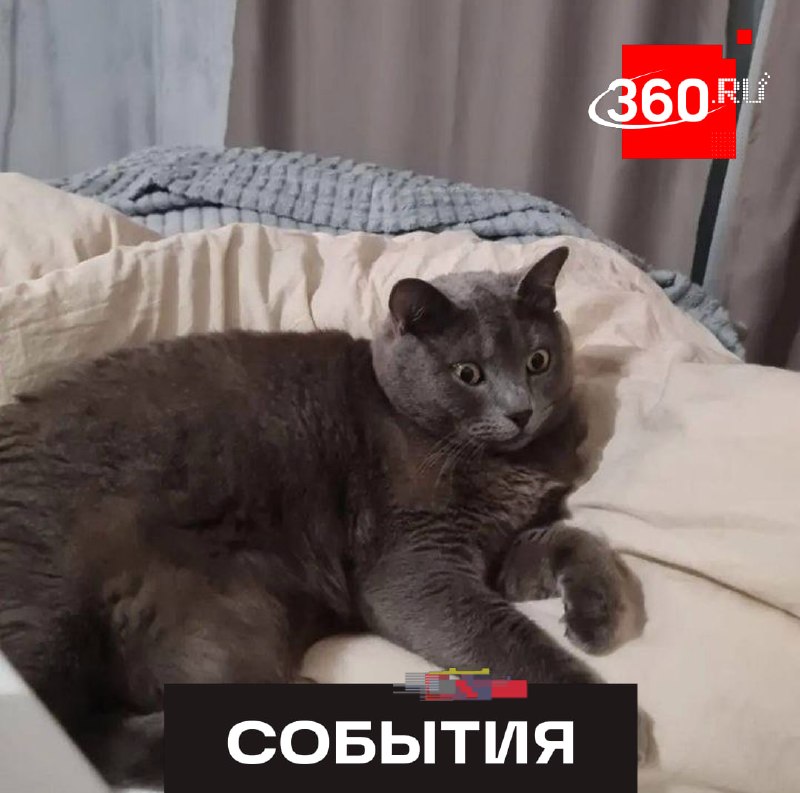 Фото поста канала  360.ru
