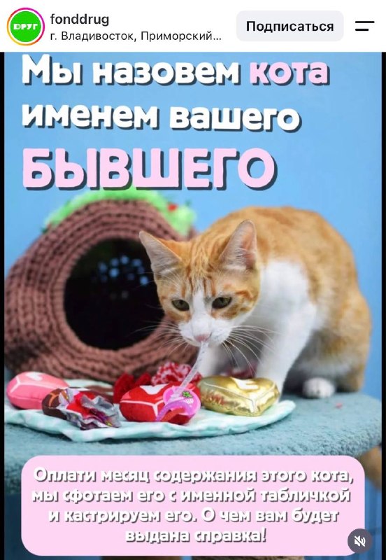 Фото поста канала Доллар по тридцать