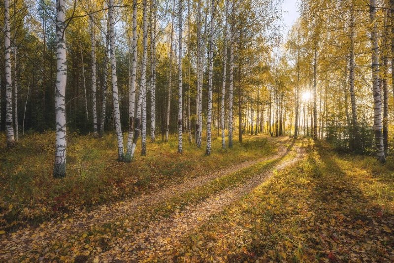 Фото поста канала  Кировчано