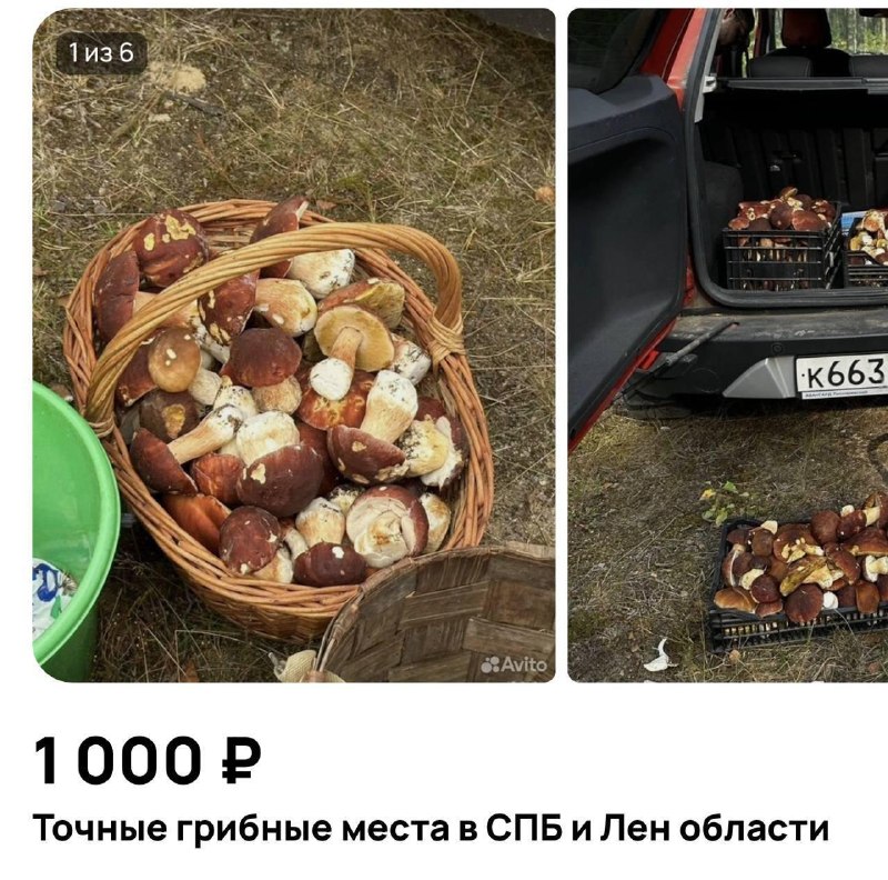 Фото поста канала Русский ритейл и бизнес