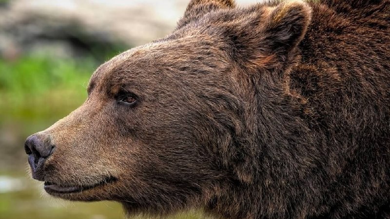 Фото поста канала  Дежурный по Перми