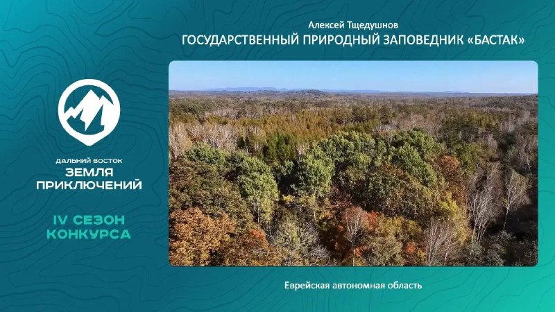Фото поста канала  ДаВос