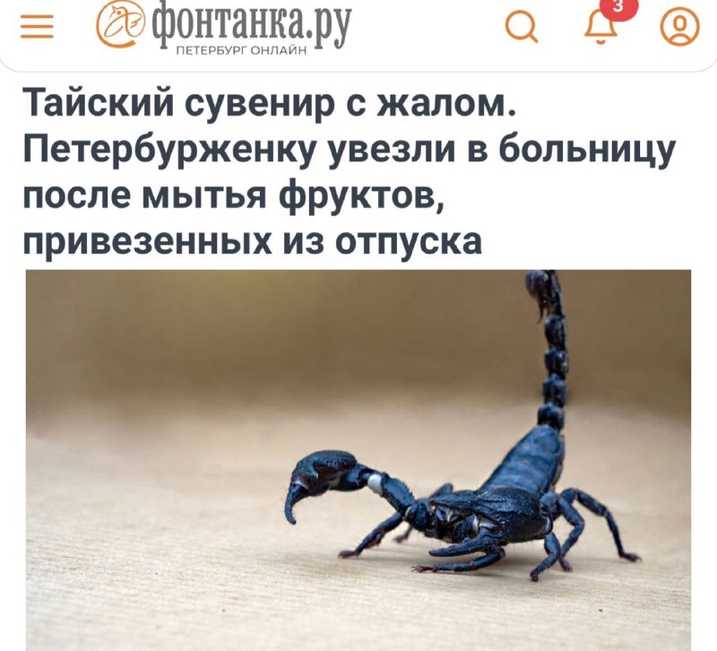 Фото поста канала Пул N3
