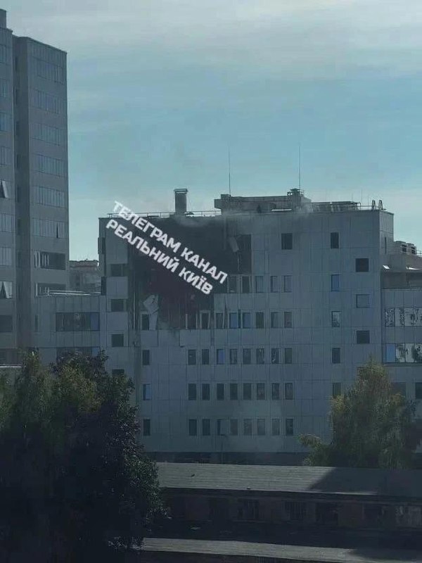 Фото поста канала Военкор  Котенок