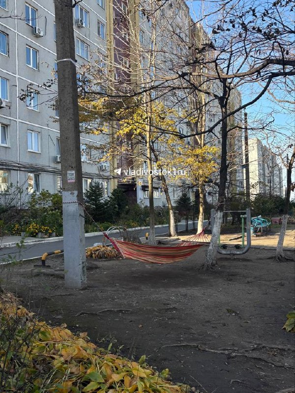 Фото поста канала  VLADIVOSTOK1.RU | Новости Приморья