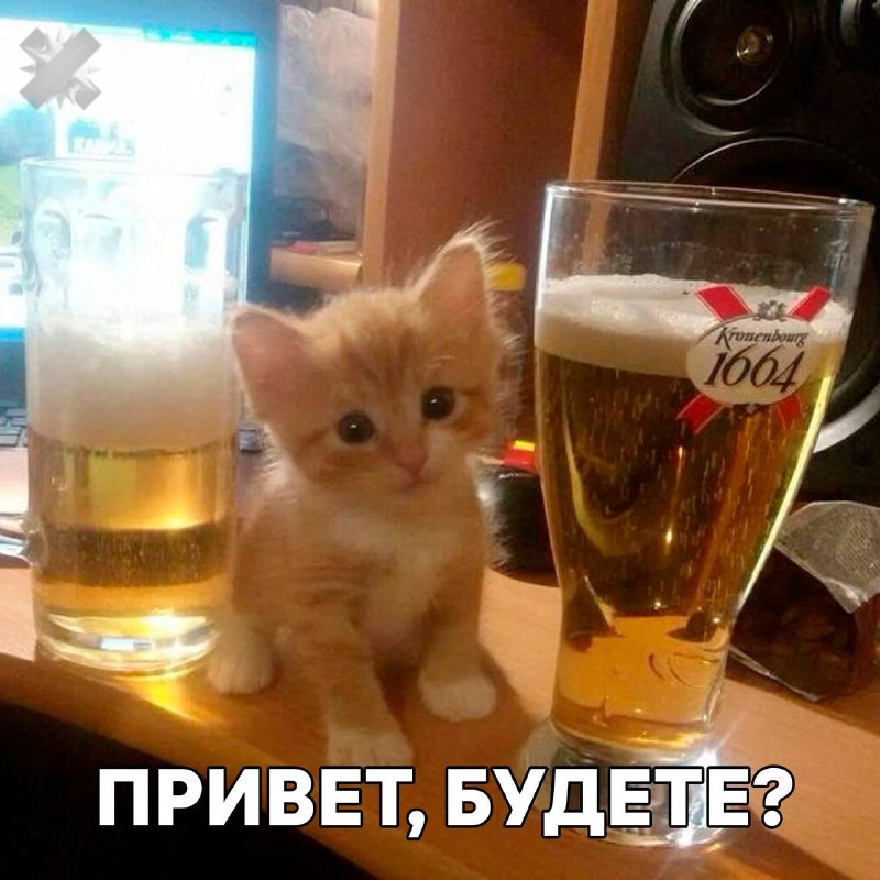 Фото поста канала НМШ 