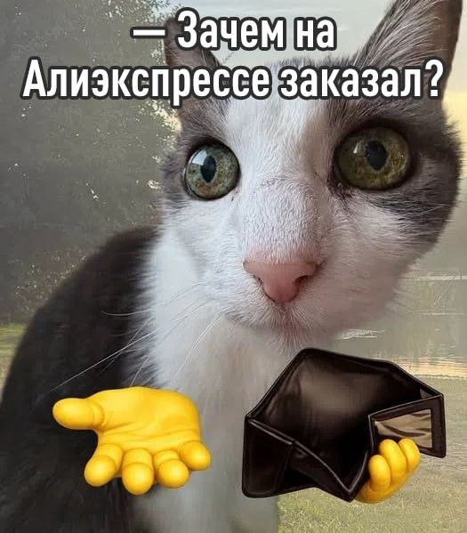 Фото поста канала Эксплойт