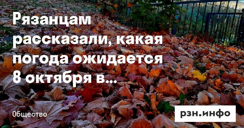 Фото поста канала  Новости Рязани • РЗН.инфо