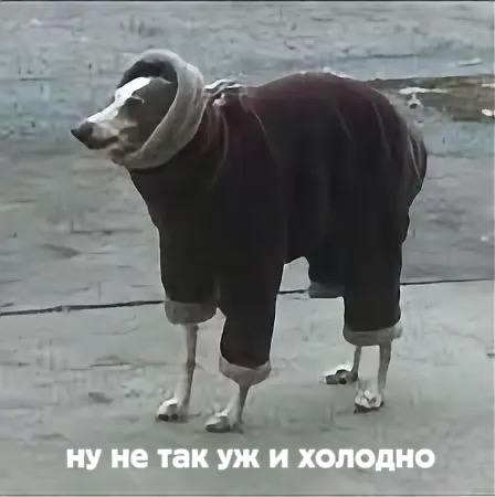 Фото поста канала  74.RU| Новости Челябинска
