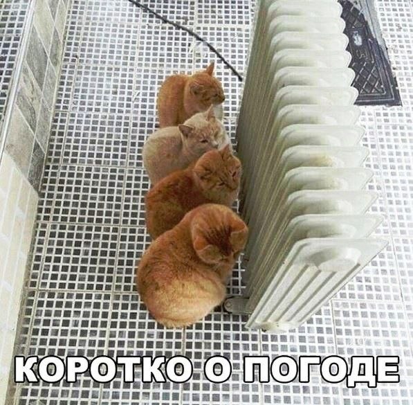 Фото поста канала  Мониторинг 45 Курганская область