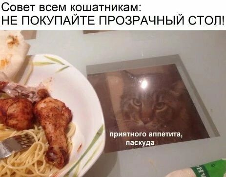 Фото поста канала Анекдоты | Мемы | Юмор 🍒