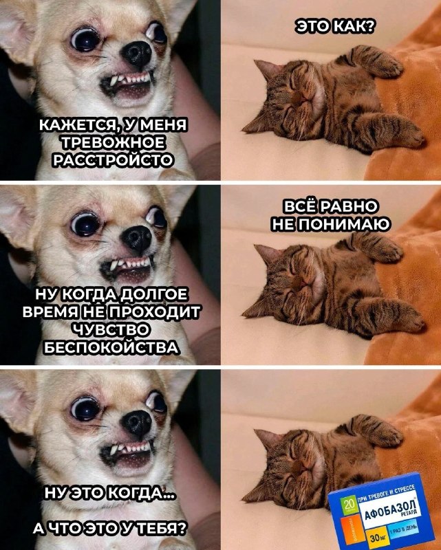 Фото поста канала не вешай носик котёночек