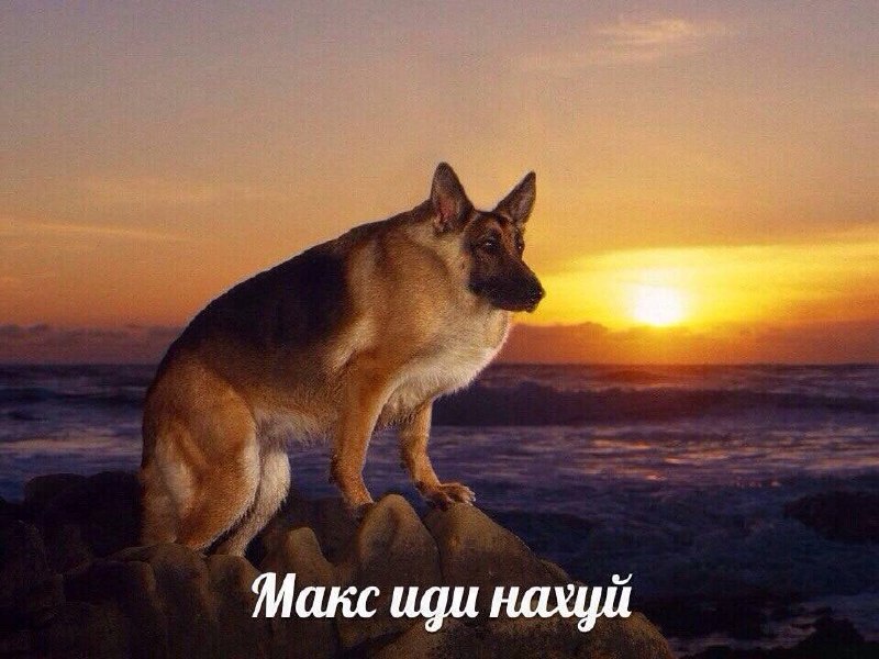 Фото поста канала  Gulag