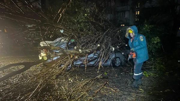 Фото поста канала  Лента новостей Крыма Z Новости Крыма