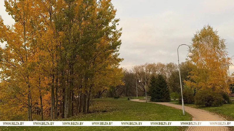 Фото поста канала  Виртуальный Брест новости
