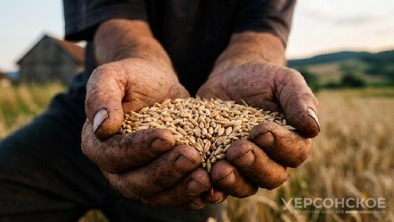Фото поста канала  Херсонское Агентство Новостей