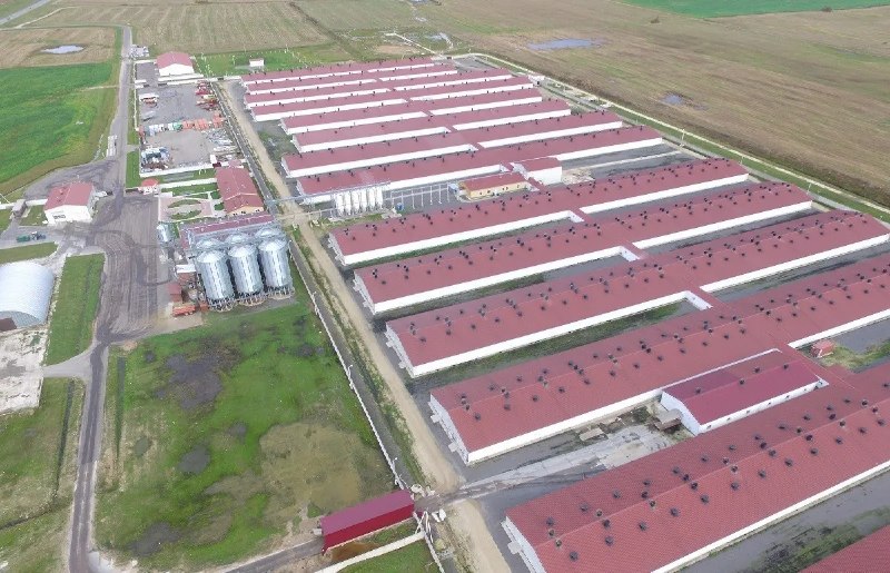 Фото поста канала  Виртуальный Брест новости