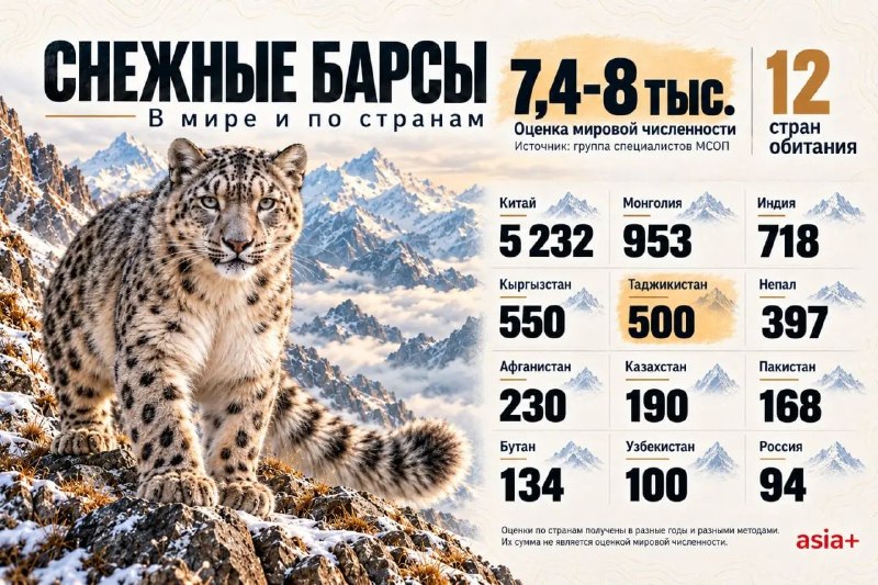Фото поста канала  Азия-Плюс | Все новости Таджикистана и мира