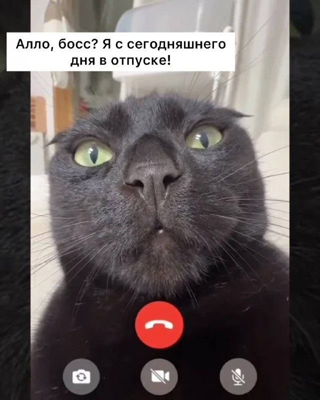 Фото поста канала Петербург с огоньком
