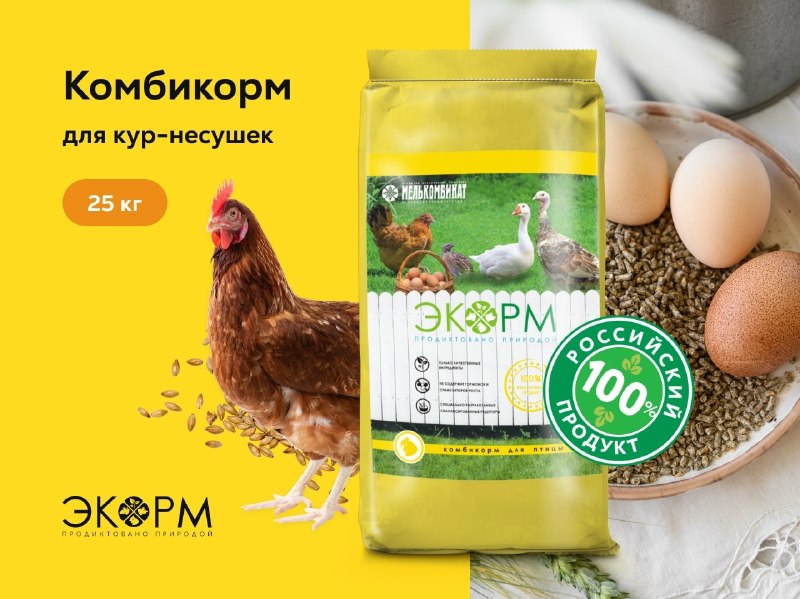 Фото поста канала ЧП Краснодар™