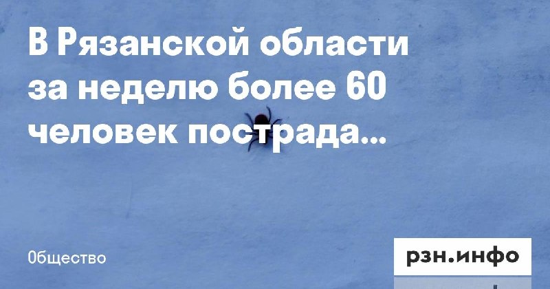 Фото поста канала  Новости Рязани • РЗН.инфо