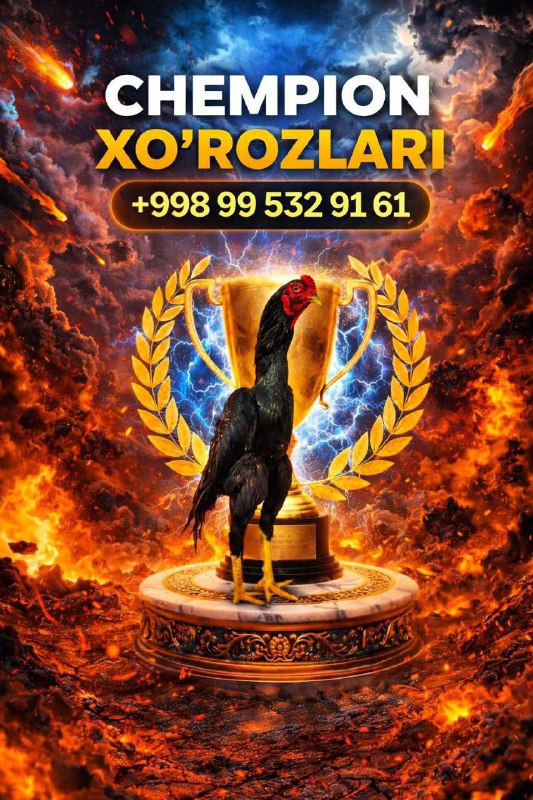 Фото поста канала  Tezkor Yangiliklar ⚡