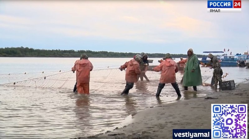 Фото поста канала  Мониторинг Арктика