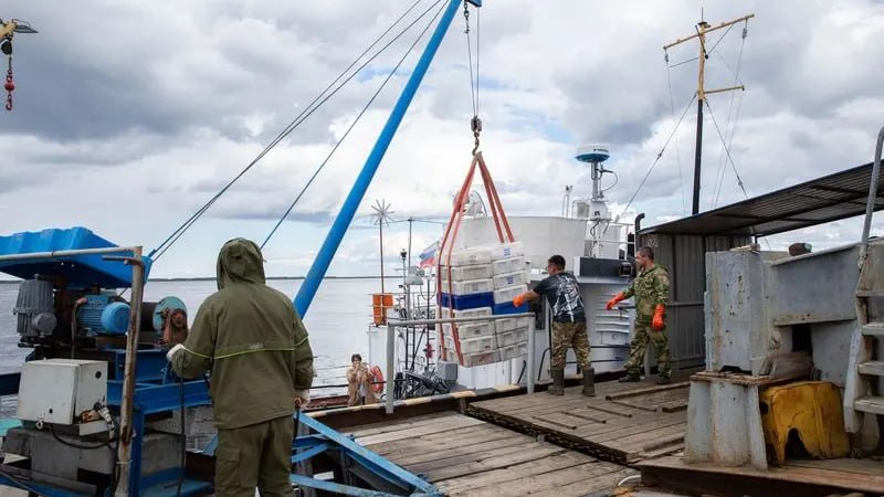 Фото поста канала  Ямал-Медиа | Салехард | Надым | Новый Уренгой | Ноябрьск