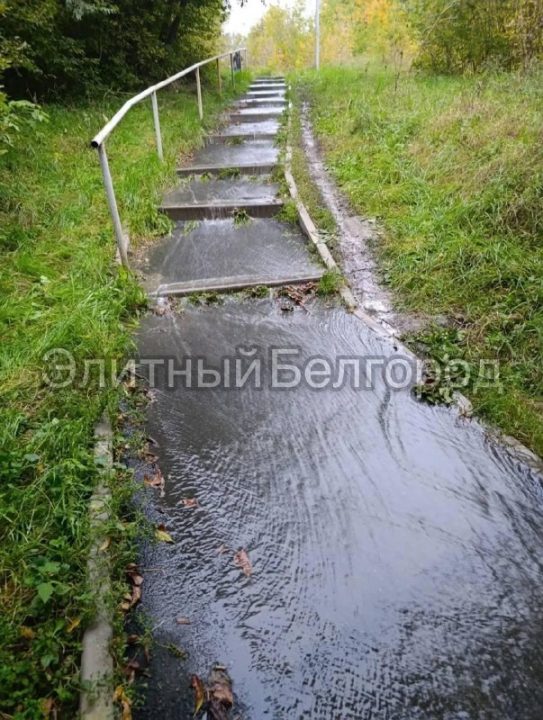 Фото поста канала Блэтгород