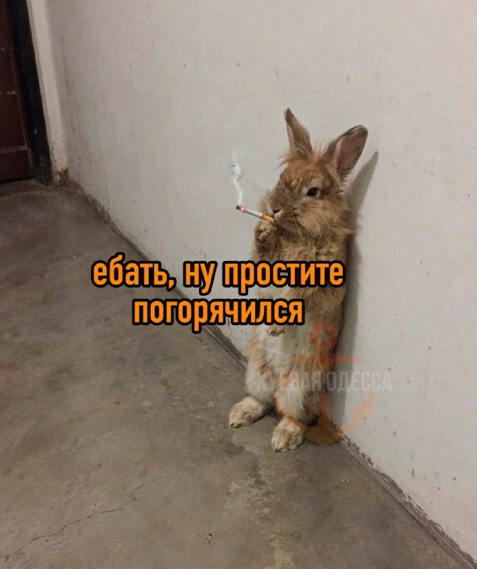 Фото поста канала Хуевая Одесса
