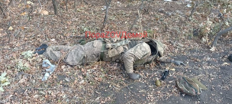 Фото поста канала  ПОРА 🅉 🄾 🅅 ДОМОЙ