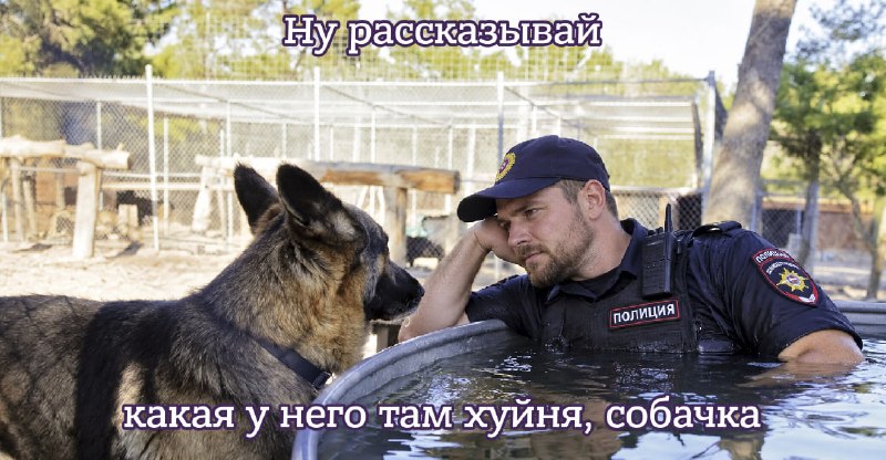 Фото поста канала  Лентач