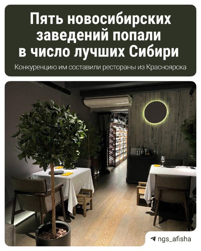 Фото поста канала НГС — новости Новосибирска