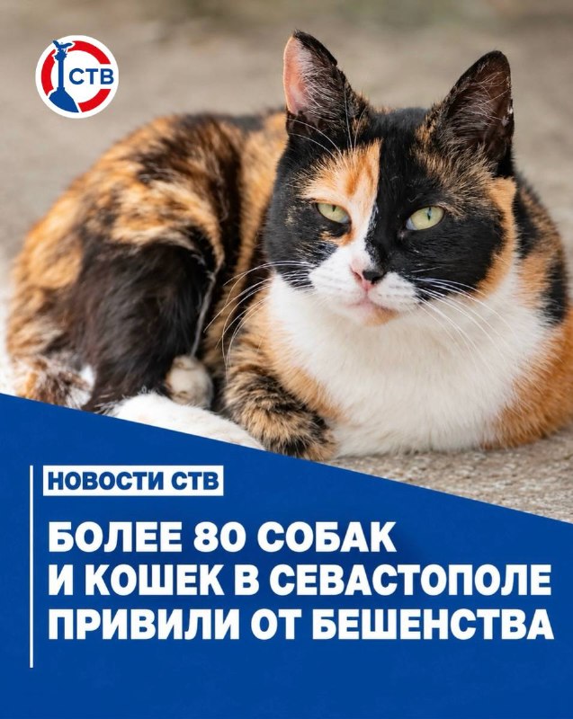 Фото поста канала  Телеканал CТВ. СеVастополь