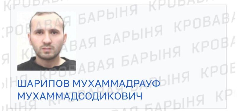 Фото поста канала Мои Люберцы ®️