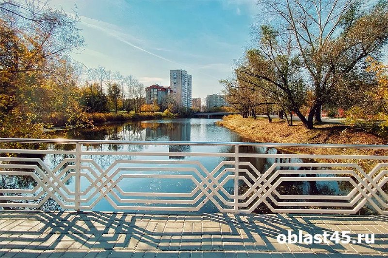 Фото поста канала  Мониторинг 45 Курганская область