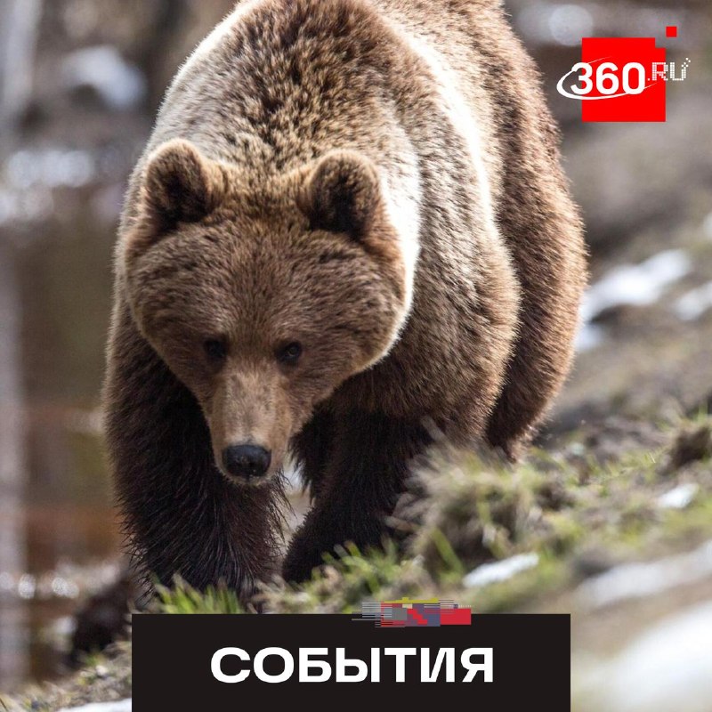 Фото поста канала  360.ru