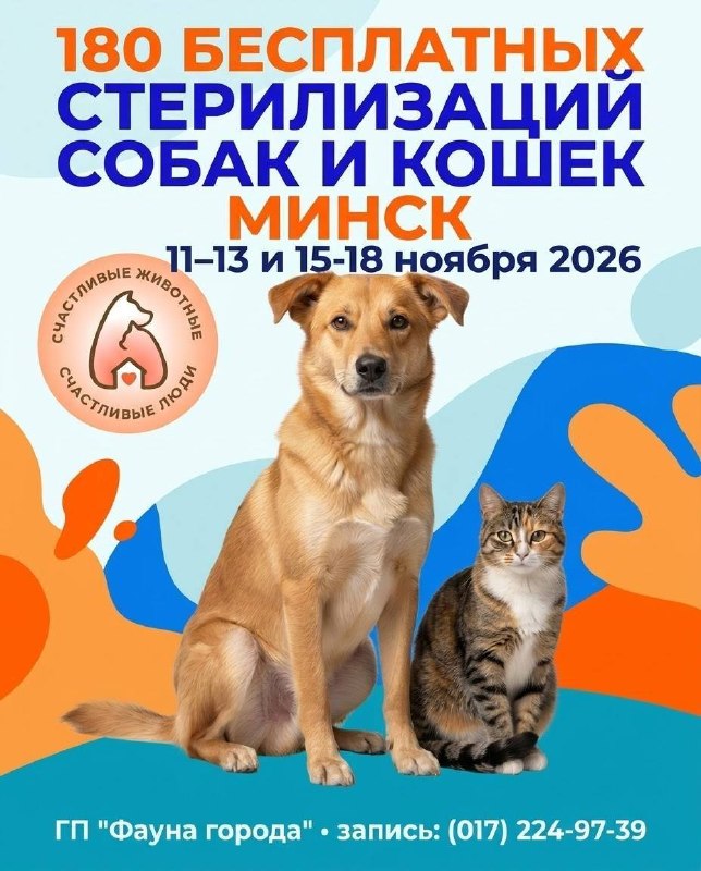 Фото поста канала Мерзкий Кокобай