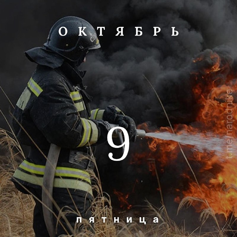 Фото поста канала  🇷🇺 Новости|Республик|ЛНР|ДНР|ZOV|Rus