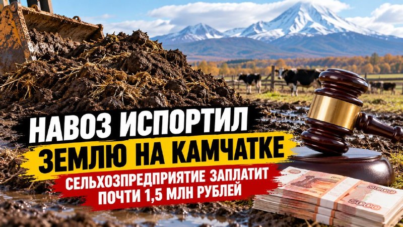 Фото поста канала  Камчатский Репортёр